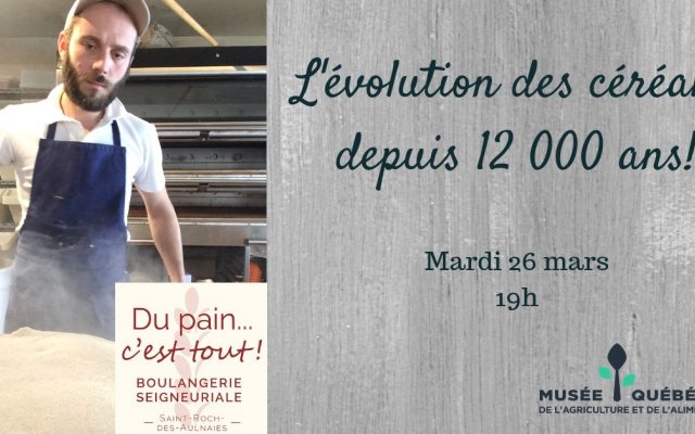 Les mardis causeries du MQAA - L'évolution des céréales depuis 12 000 ans!
