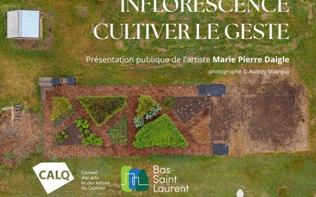 Présentation du projet artistique de Marie Pierre Daigle