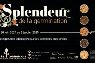 Communiqué: Splendeur de la germination 